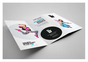 企業(yè)視覺(jué)傳達(dá)三要素 畫(huà)冊(cè)設(shè)計(jì)、產(chǎn)品目錄設(shè)計(jì)與標(biāo)志設(shè)計(jì)的藝術(shù)與價(jià)值